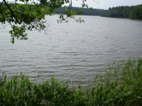 Jezioro Kask, widok z drzewa