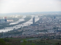 Wiedeski Dunaj